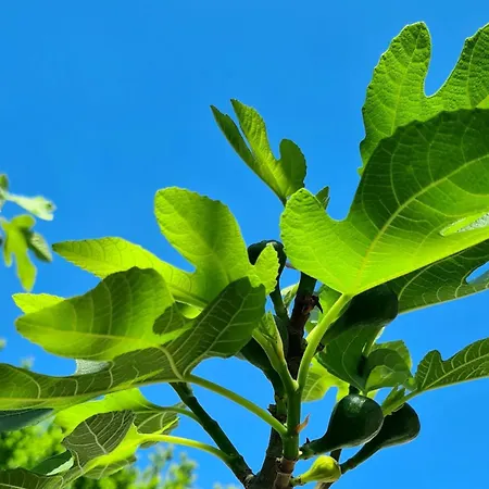 The Modern Antique Lägenhet *